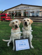 SONS, Středisko výcviku vodicích psů