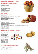 Mateřská škola "V zahradě", Liberec, Žitavská 122/68, příspěvková organizace