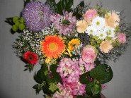 Soukromá mateřská škola KVÍTKO, s.r.o.