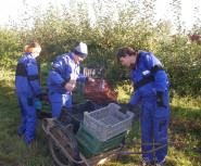 Střední škola, Základní škola a Mateřská škola Lipník nad Bečvou, Osecká 301