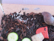 2.základní škola Bochov, příspěvková organizace