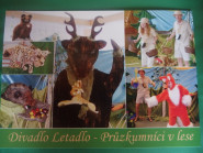 Mateřská škola Kaštánek, Krnov, příspěvková organizace