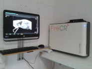 Antonín Hanzl MVDr.