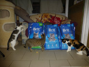 Pomocné ruce Olomouc z.s.