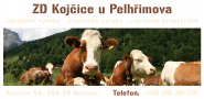 Zemědělské družstvo Kojčice