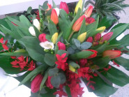 Bc. Marcela Machková