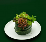 Kateřina POLIČOVÁ