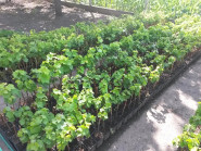 BILOVIN spol. s r.o.