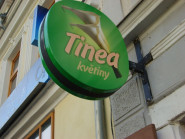 Štěpánka Sobotková