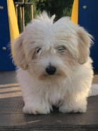 Šárka Krůželová