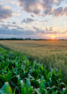 AGROS Vysočina, a.s.