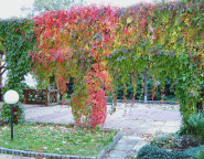 Domov pro seniory Vratislavice nad Nisou, příspěvková organizace