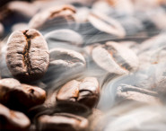 ATC - EURO - GROUP,s.r.o.