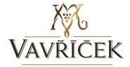 Mgr. Martin Vavříček s.r.o.