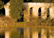 Oldřiška Klammertová