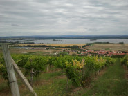 Ludmila Gorčíková