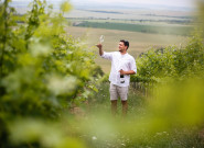 ARTE VINI, spol. s r.o.