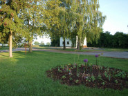 ABJEX Team Group s.r.o.