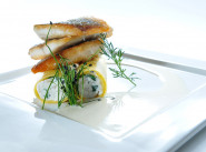 KASKÁDA BRNO, s.r.o.