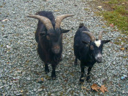 Autocamping Rozkoš, s.r.o.