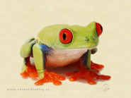 ANIMALS Holding, družstvo