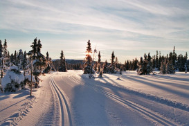 Jindřichov 132, 46602 Jablonec nad Nisou