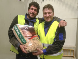 Polanecká 803/72, 72107 Ostrava - Svinov