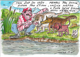 Beethovenova 25/4, 60200 Brno