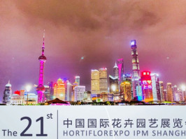 Žár 38, 37401 Žár