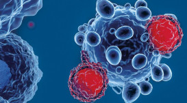 Pivovarská 30, 75661 Rožnov pod Radhoštěm