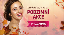 Bezručova 143/16, 30100 Plzeň