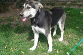 Lazec 45, 26101 Příbram