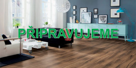 Rejskova 242/1, 79601 Prostějov