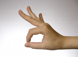 Škroupova 1017/11, 30100 Plzeň