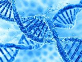 Karlovo náměstí 325/7, 12000 Praha