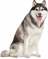 Dolany 42, 33901 Dolany