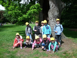 U stadionu 908, 29301 Mladá Boleslav