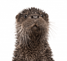 Lipová 95, 54226 Horní Maršov