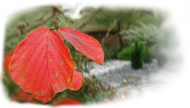 Dva dvory 2311, 68001 Boskovice