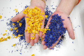 Františka Palackého 1870, 74401 Frenštát pod Radhoštěm