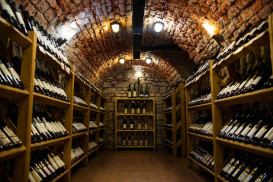 Tyršova 118/8, 74101 Nový Jičín