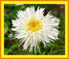 Čermákova 2368/29, 30100 Plzeň