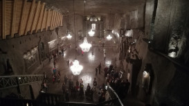 Přemyslovců 131/4, 66902 Znojmo