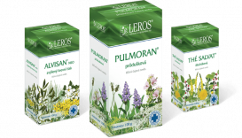 Boženy Hrejsové 1301, 69662 Strážnice