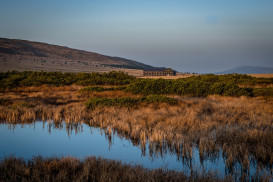 Pec pod Sněžkou 203, 54221 Pec pod Sněžkou