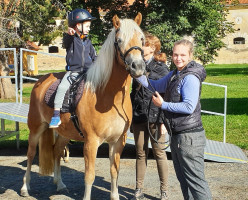 Horšov 62, 34601 Horšovský Týn