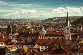 Dvořákova 44/14, 60200 Brno