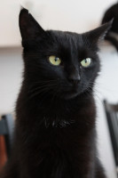 Křižíkova 264/22, 18600 Praha